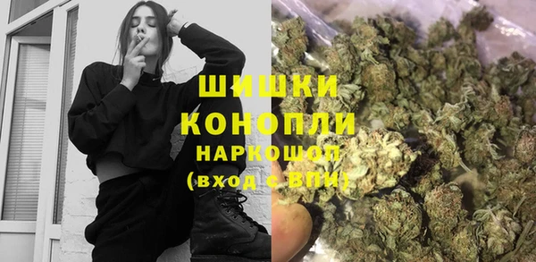 индика Белоозёрский