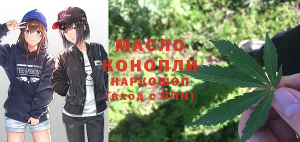 индика Белоозёрский
