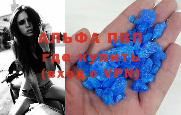 индика Белоозёрский