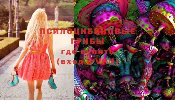 индика Белоозёрский