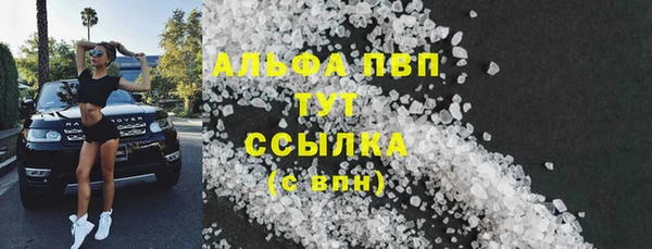 индика Белоозёрский