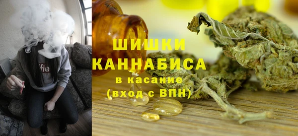 индика Белоозёрский
