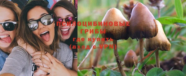 индика Белоозёрский